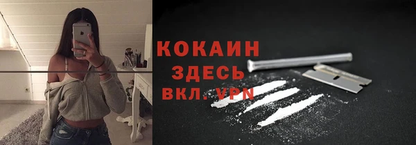 ГАЛЛЮЦИНОГЕННЫЕ ГРИБЫ Куйбышев