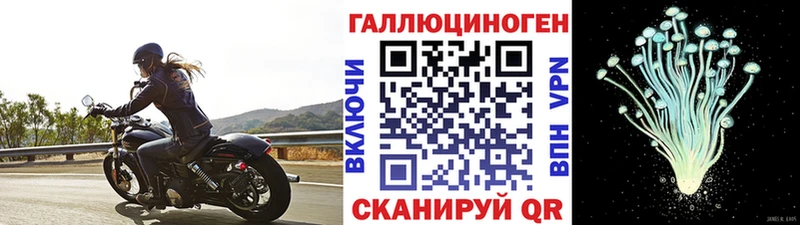 Галлюциногенные грибы Magic Shrooms  hydra tor  это состав  Шлиссельбург 